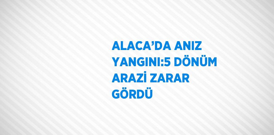 ALACA’DA ANIZ YANGINI:5 DÖNÜM ARAZİ ZARAR GÖRDÜ