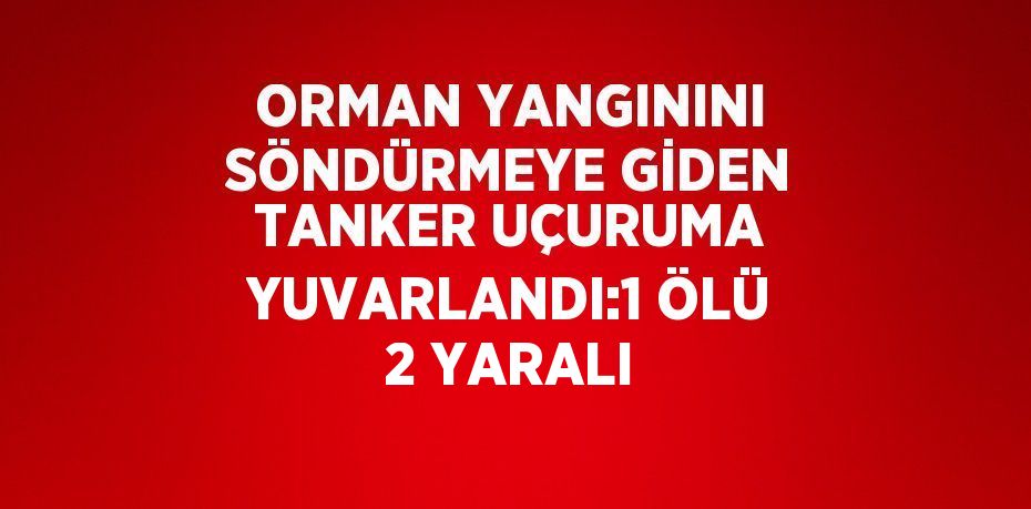 ORMAN YANGININI SÖNDÜRMEYE GİDEN TANKER UÇURUMA YUVARLANDI:1 ÖLÜ 2 YARALI