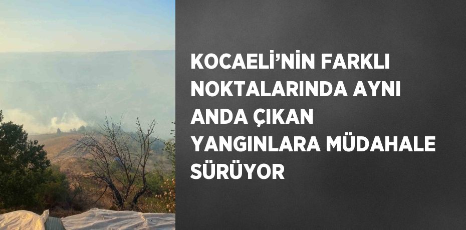 KOCAELİ’NİN FARKLI NOKTALARINDA AYNI ANDA ÇIKAN YANGINLARA MÜDAHALE SÜRÜYOR
