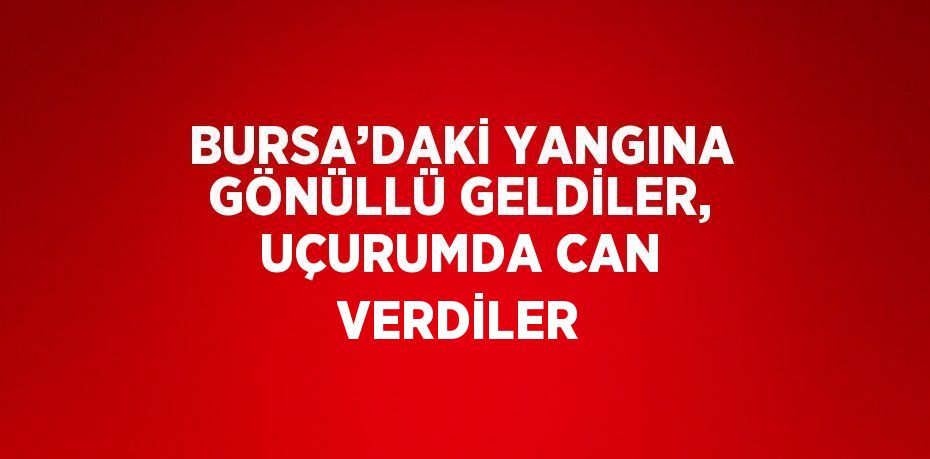 BURSA’DAKİ YANGINA GÖNÜLLÜ GELDİLER, UÇURUMDA CAN VERDİLER