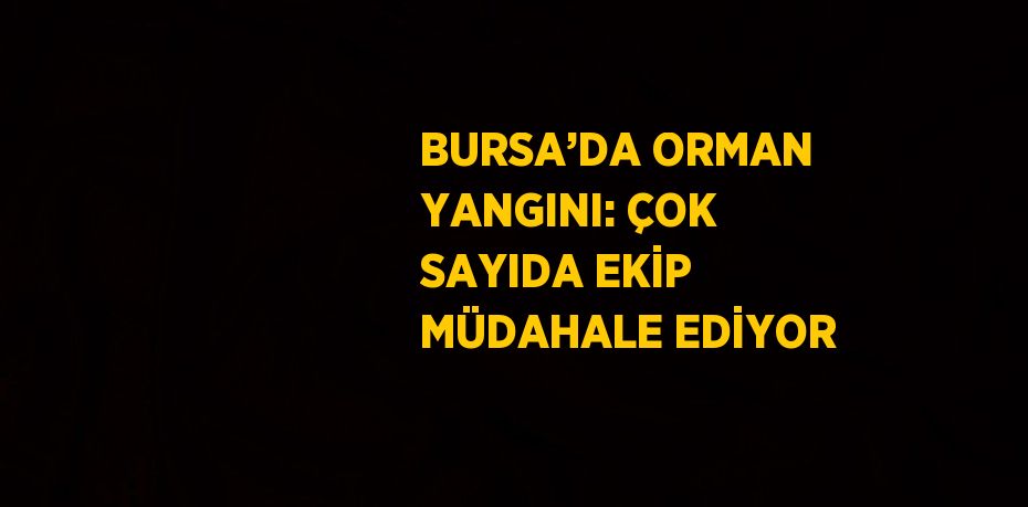 BURSA’DA ORMAN YANGINI: ÇOK SAYIDA EKİP MÜDAHALE EDİYOR