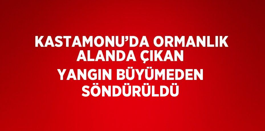 KASTAMONU’DA ORMANLIK ALANDA ÇIKAN YANGIN BÜYÜMEDEN SÖNDÜRÜLDÜ