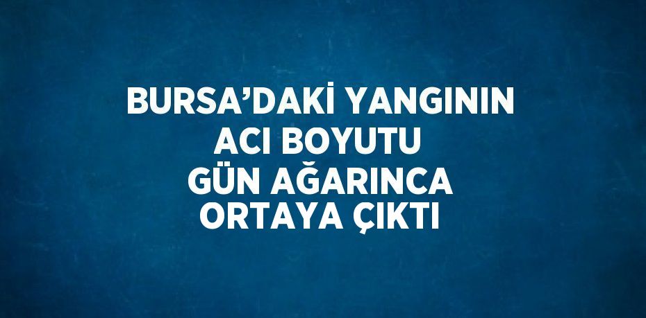 BURSA’DAKİ YANGININ ACI BOYUTU GÜN AĞARINCA ORTAYA ÇIKTI