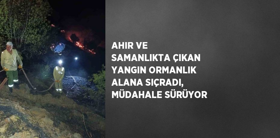 AHIR VE SAMANLIKTA ÇIKAN YANGIN ORMANLIK ALANA SIÇRADI, MÜDAHALE SÜRÜYOR