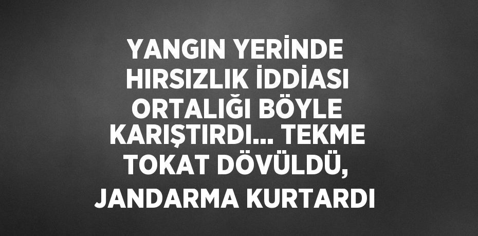 YANGIN YERİNDE HIRSIZLIK İDDİASI ORTALIĞI BÖYLE KARIŞTIRDI... TEKME TOKAT DÖVÜLDÜ, JANDARMA KURTARDI