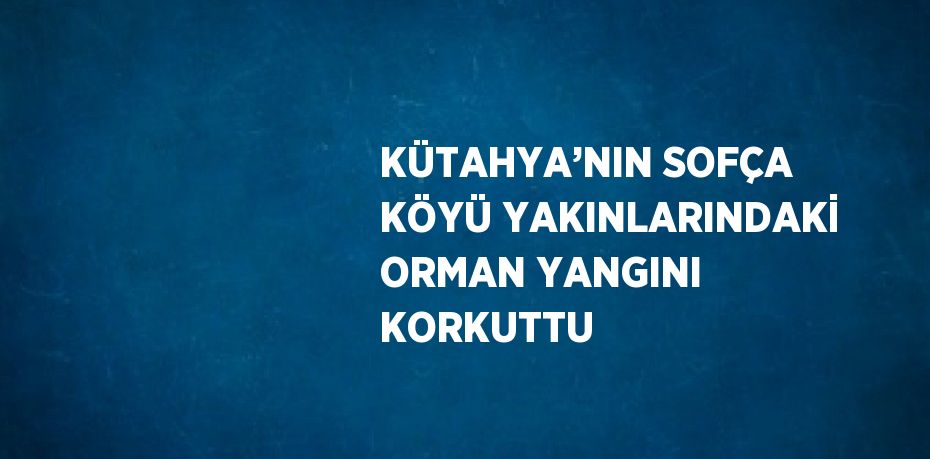 KÜTAHYA’NIN SOFÇA KÖYÜ YAKINLARINDAKİ ORMAN YANGINI KORKUTTU