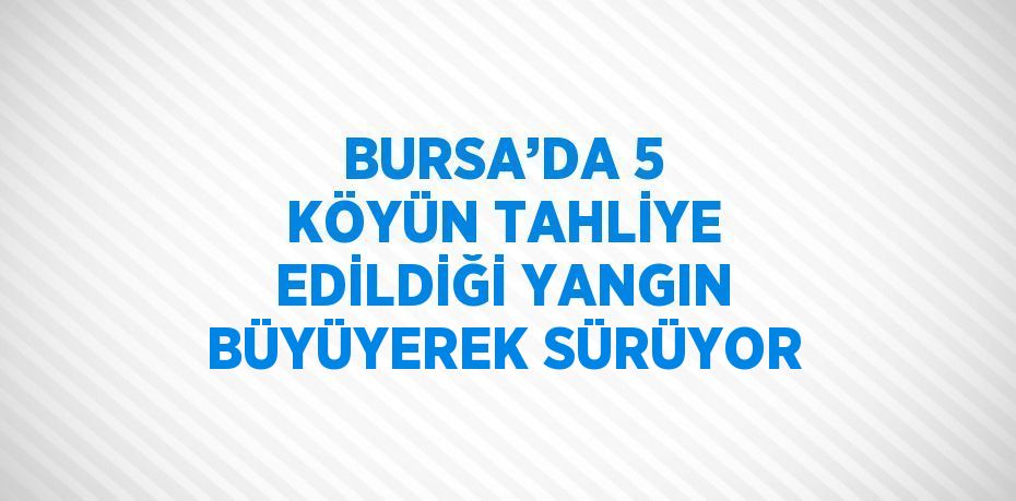 BURSA’DA 5 KÖYÜN TAHLİYE EDİLDİĞİ YANGIN BÜYÜYEREK SÜRÜYOR