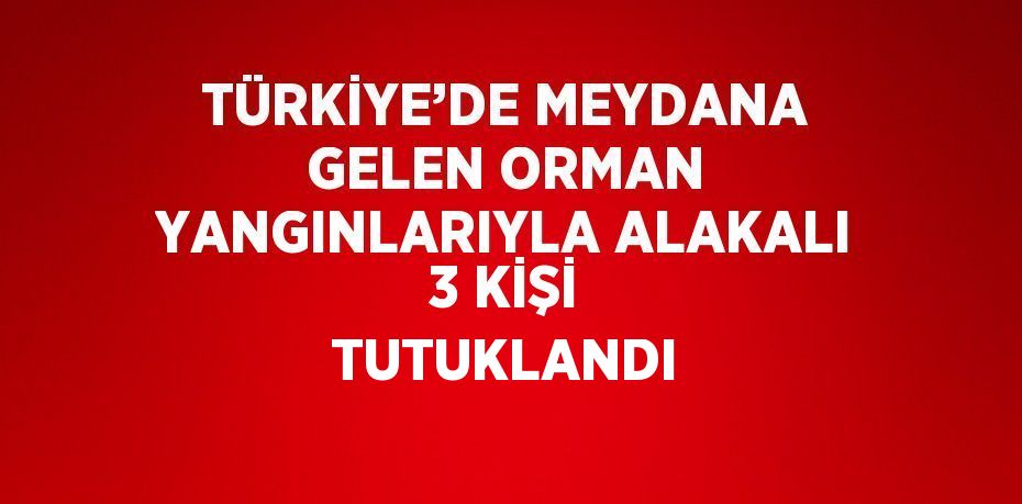 TÜRKİYE’DE MEYDANA GELEN ORMAN YANGINLARIYLA ALAKALI 3 KİŞİ TUTUKLANDI