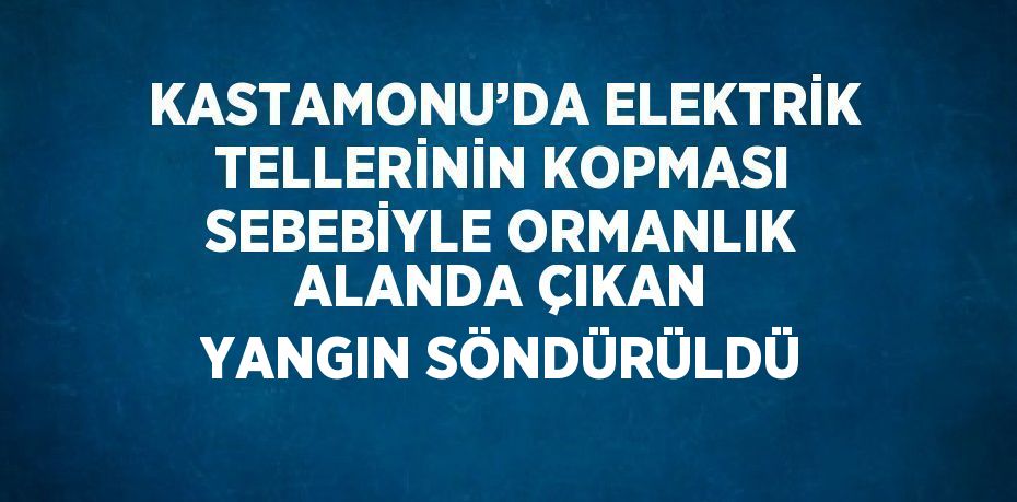 KASTAMONU’DA ELEKTRİK TELLERİNİN KOPMASI SEBEBİYLE ORMANLIK ALANDA ÇIKAN YANGIN SÖNDÜRÜLDÜ