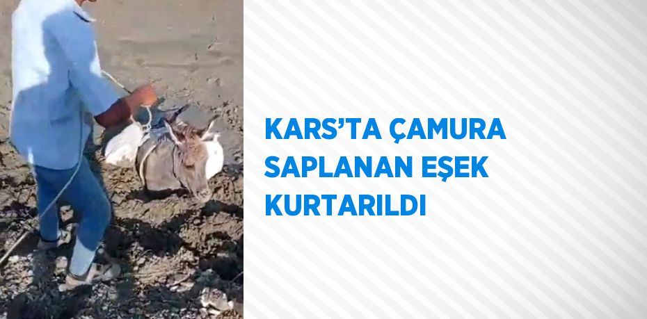 KARS’TA ÇAMURA SAPLANAN EŞEK KURTARILDI