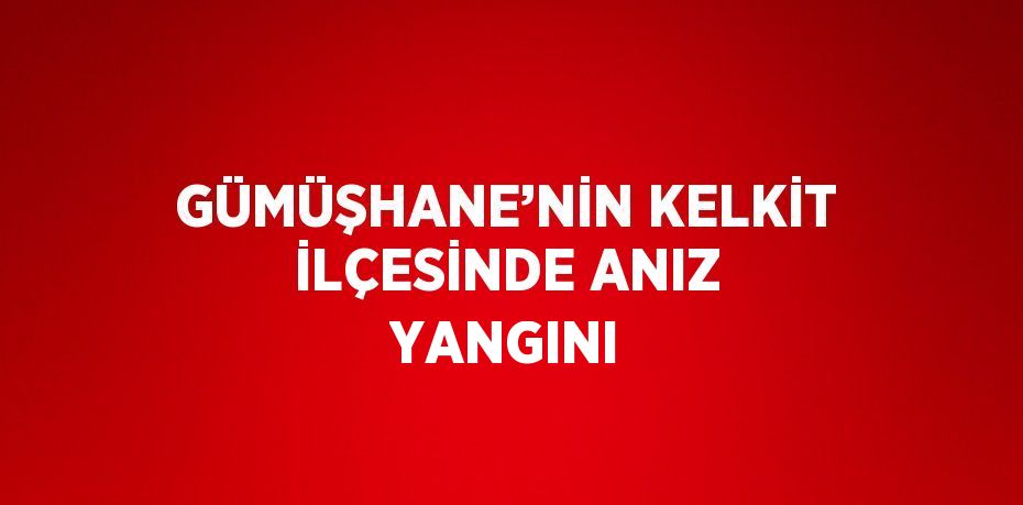 GÜMÜŞHANE’NİN KELKİT İLÇESİNDE ANIZ YANGINI