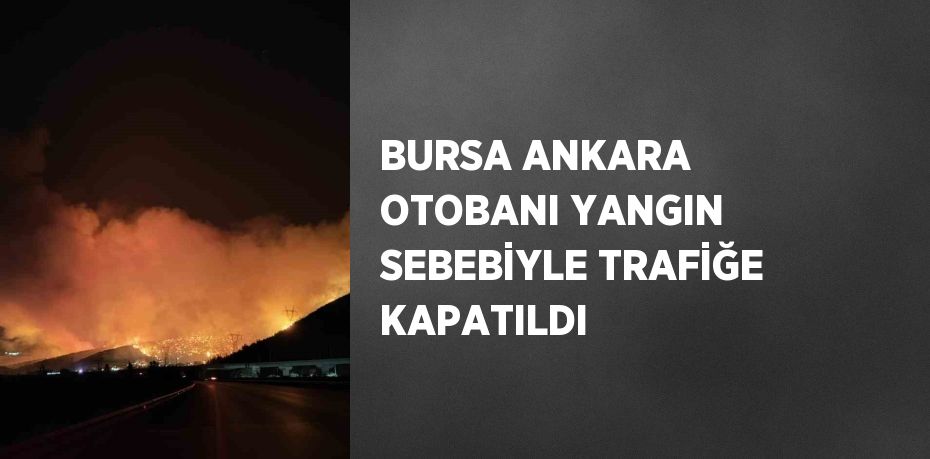 BURSA ANKARA OTOBANI YANGIN SEBEBİYLE TRAFİĞE KAPATILDI
