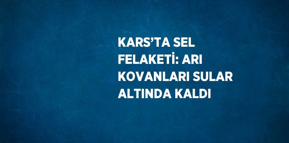 KARS’TA SEL FELAKETİ: ARI KOVANLARI SULAR ALTINDA KALDI