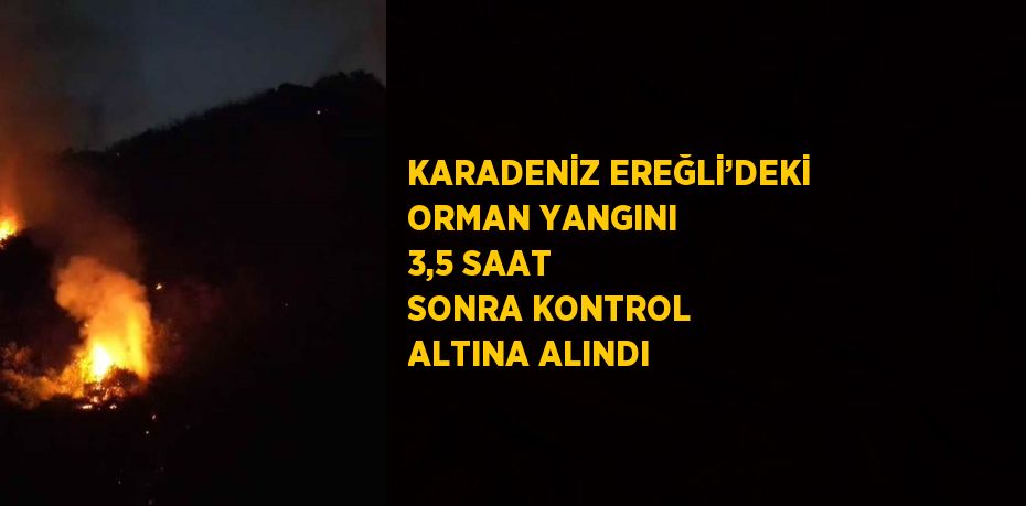 KARADENİZ EREĞLİ’DEKİ ORMAN YANGINI 3,5 SAAT SONRA KONTROL ALTINA ALINDI