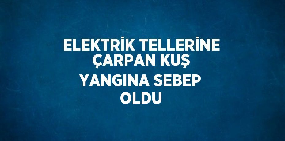 ELEKTRİK TELLERİNE ÇARPAN KUŞ YANGINA SEBEP OLDU