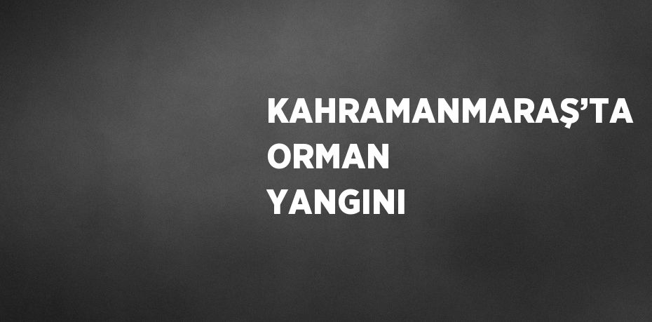 KAHRAMANMARAŞ’TA ORMAN YANGINI