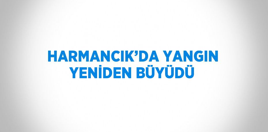 HARMANCIK’DA YANGIN YENİDEN BÜYÜDÜ