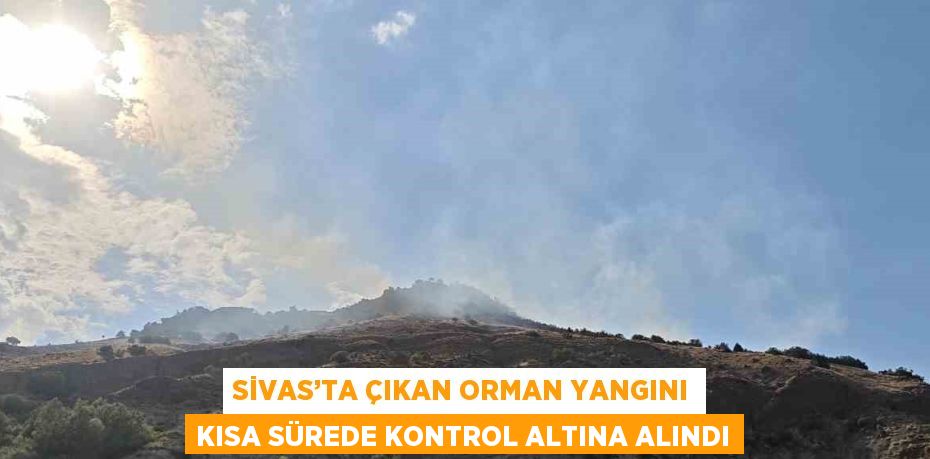 SİVAS’TA ÇIKAN ORMAN YANGINI KISA SÜREDE KONTROL ALTINA ALINDI