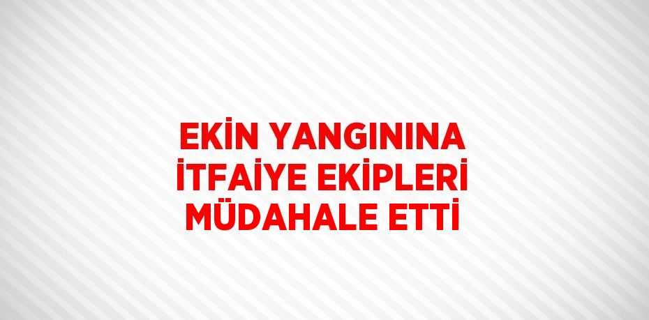 EKİN YANGININA İTFAİYE EKİPLERİ MÜDAHALE ETTİ