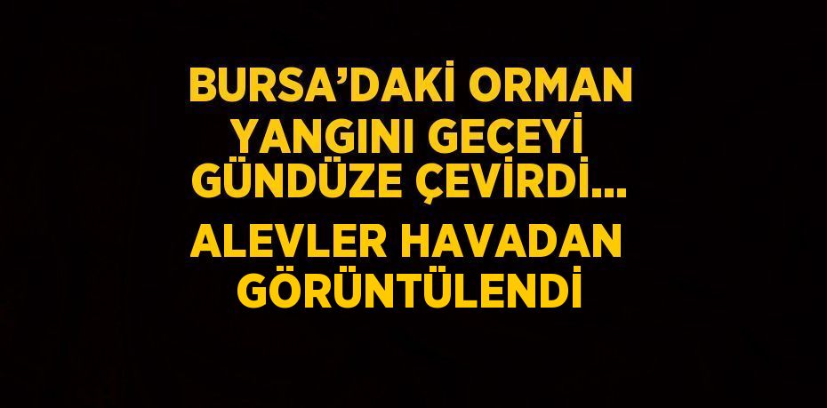 BURSA’DAKİ ORMAN YANGINI GECEYİ GÜNDÜZE ÇEVİRDİ... ALEVLER HAVADAN GÖRÜNTÜLENDİ