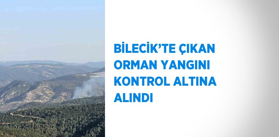 BİLECİK’TE ÇIKAN ORMAN YANGINI KONTROL ALTINA ALINDI