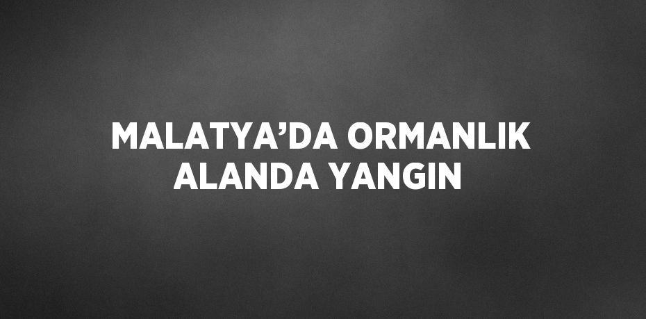 MALATYA’DA ORMANLIK ALANDA YANGIN