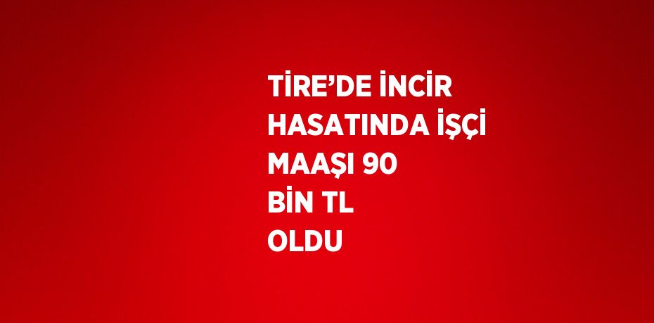 TİRE’DE İNCİR HASATINDA İŞÇİ MAAŞI 90 BİN TL OLDU