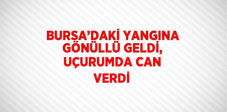 BURSA’DAKİ YANGINA GÖNÜLLÜ GELDİ, UÇURUMDA CAN VERDİ