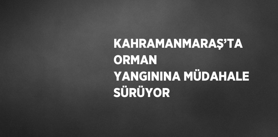KAHRAMANMARAŞ’TA ORMAN YANGININA MÜDAHALE SÜRÜYOR
