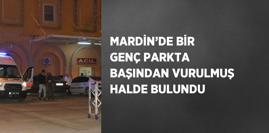 MARDİN’DE BİR GENÇ PARKTA BAŞINDAN VURULMUŞ HALDE BULUNDU