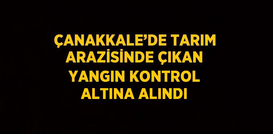 ÇANAKKALE’DE TARIM ARAZİSİNDE ÇIKAN YANGIN KONTROL ALTINA ALINDI