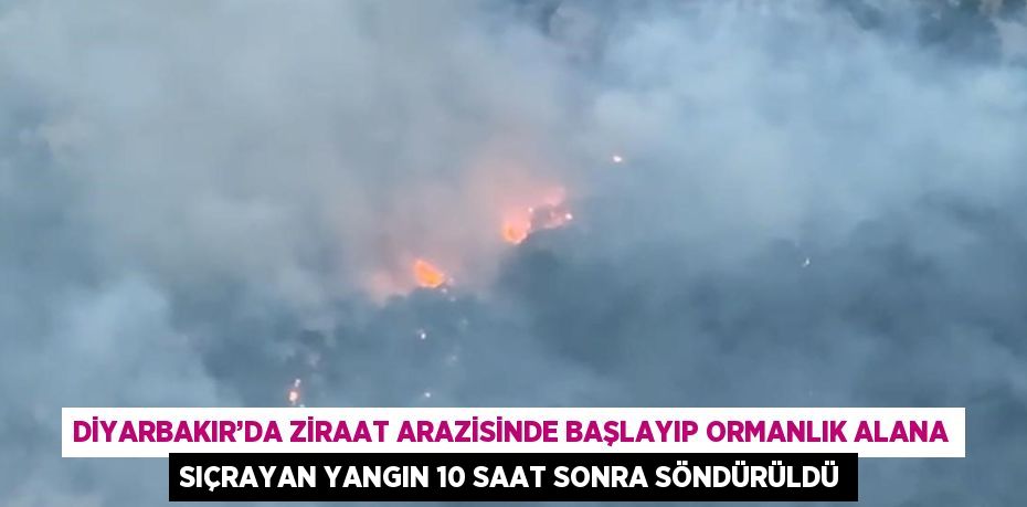 DİYARBAKIR’DA ZİRAAT ARAZİSİNDE BAŞLAYIP ORMANLIK ALANA SIÇRAYAN YANGIN 10 SAAT SONRA SÖNDÜRÜLDÜ