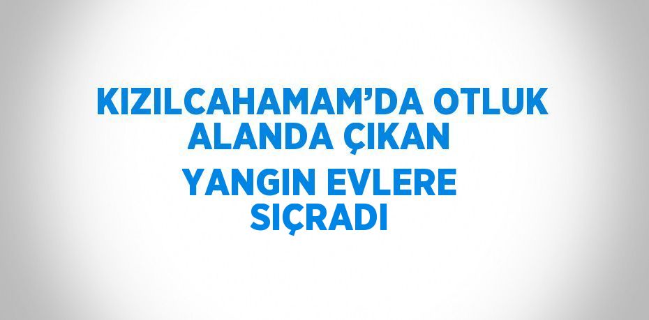 KIZILCAHAMAM’DA OTLUK ALANDA ÇIKAN YANGIN EVLERE SIÇRADI