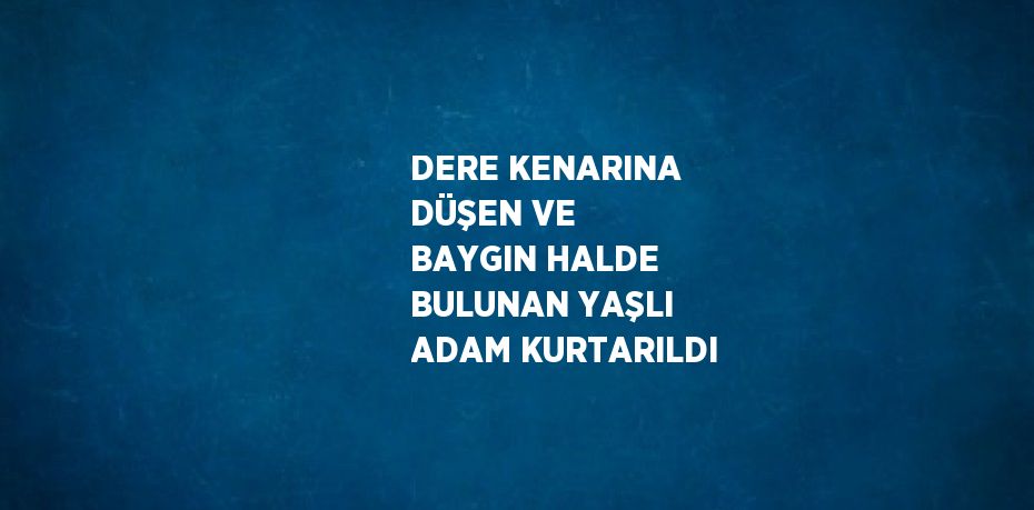 DERE KENARINA DÜŞEN VE BAYGIN HALDE BULUNAN YAŞLI ADAM KURTARILDI