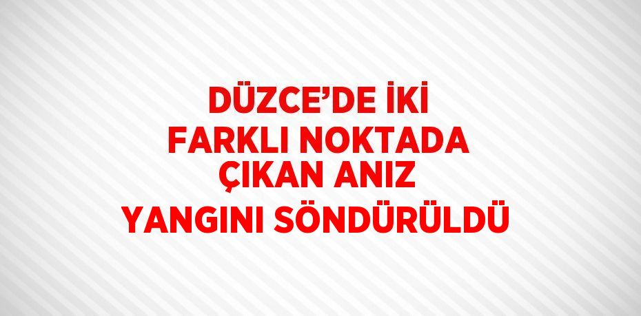 DÜZCE’DE İKİ FARKLI NOKTADA ÇIKAN ANIZ YANGINI SÖNDÜRÜLDÜ