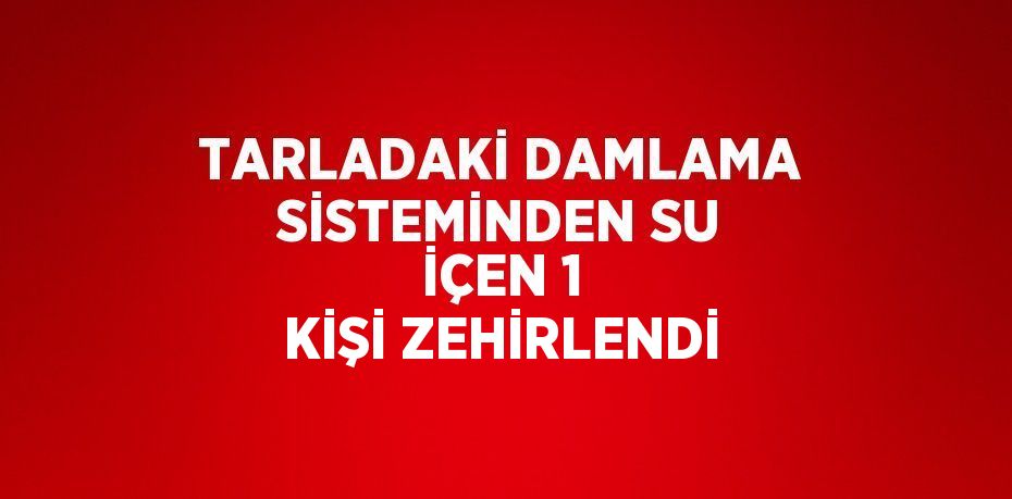 TARLADAKİ DAMLAMA SİSTEMİNDEN SU İÇEN 1 KİŞİ ZEHİRLENDİ