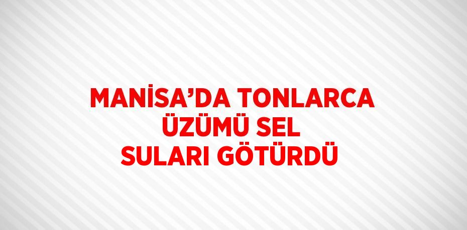 MANİSA’DA TONLARCA ÜZÜMÜ SEL SULARI GÖTÜRDÜ