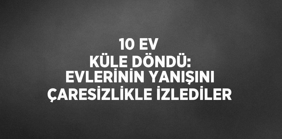 10 EV KÜLE DÖNDÜ: EVLERİNİN YANIŞINI ÇARESİZLİKLE İZLEDİLER