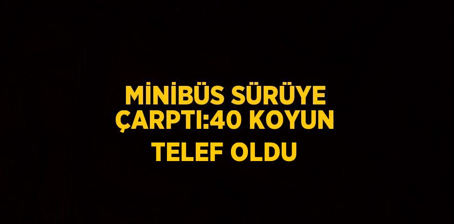 MİNİBÜS SÜRÜYE ÇARPTI:40 KOYUN TELEF OLDU