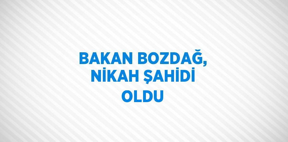 BAKAN BOZDAĞ, NİKAH ŞAHİDİ OLDU