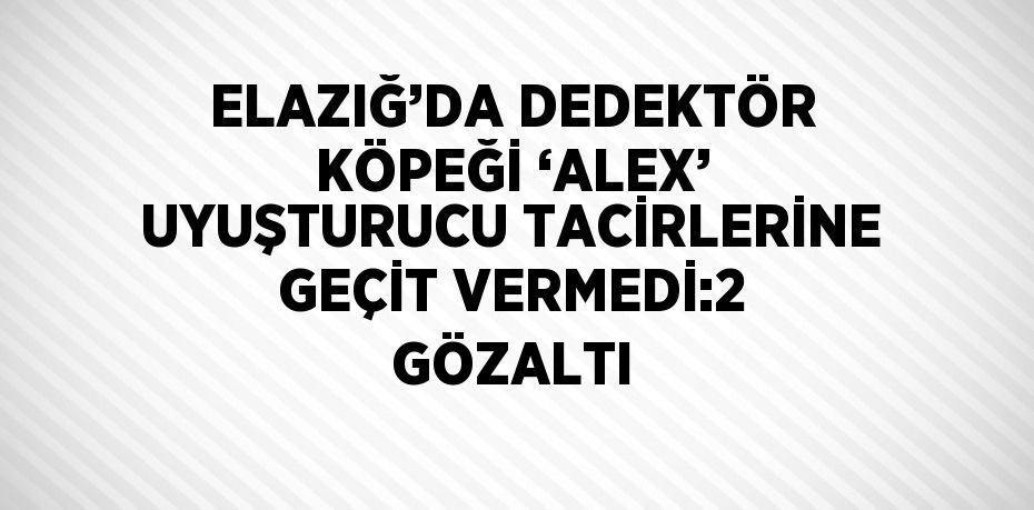 ELAZIĞ’DA DEDEKTÖR KÖPEĞİ ‘ALEX’ UYUŞTURUCU TACİRLERİNE GEÇİT VERMEDİ:2 GÖZALTI