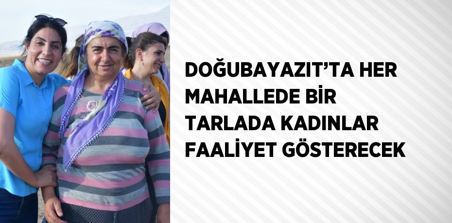 DOĞUBAYAZIT’TA HER MAHALLEDE BİR TARLADA KADINLAR FAALİYET GÖSTERECEK