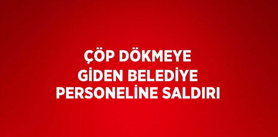 ÇÖP DÖKMEYE GİDEN BELEDİYE PERSONELİNE SALDIRI