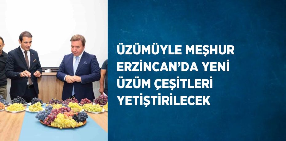 ÜZÜMÜYLE MEŞHUR ERZİNCAN’DA YENİ ÜZÜM ÇEŞİTLERİ YETİŞTİRİLECEK