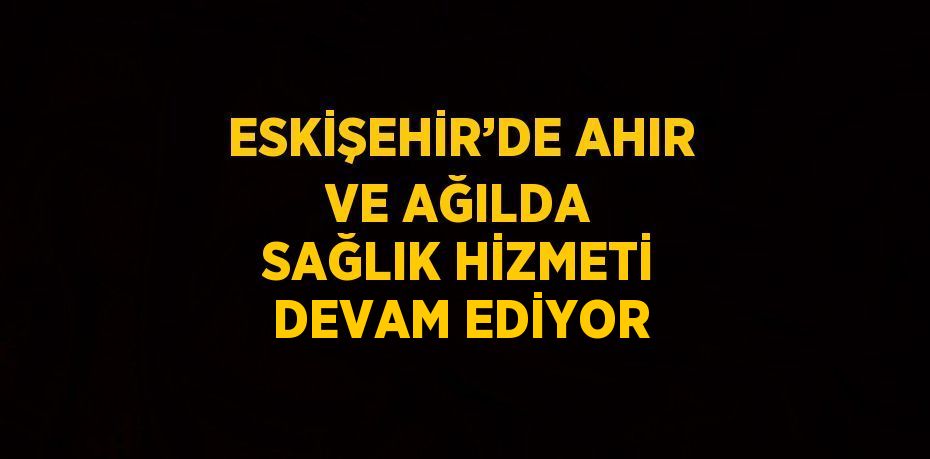 ESKİŞEHİR’DE AHIR VE AĞILDA SAĞLIK HİZMETİ DEVAM EDİYOR