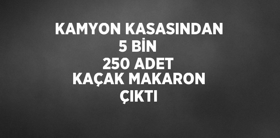 KAMYON KASASINDAN 5 BİN 250 ADET KAÇAK MAKARON ÇIKTI