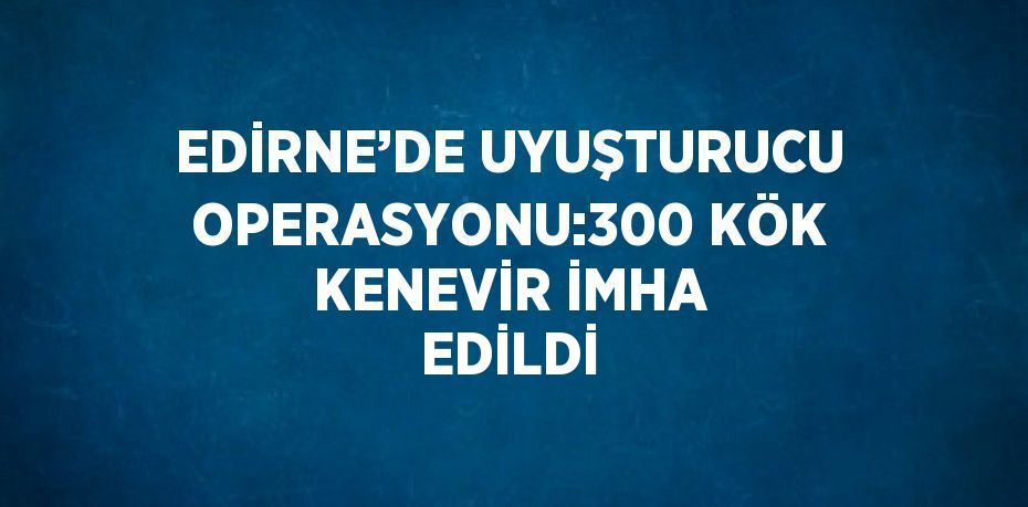 EDİRNE’DE UYUŞTURUCU OPERASYONU:300 KÖK KENEVİR İMHA EDİLDİ