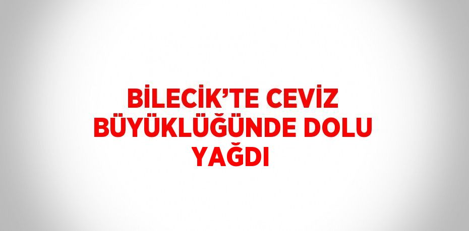 BİLECİK’TE CEVİZ BÜYÜKLÜĞÜNDE DOLU YAĞDI