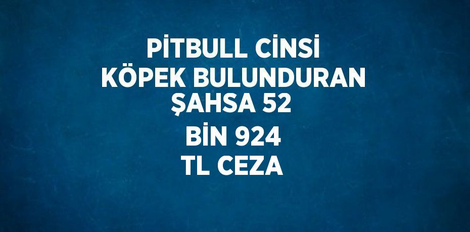 PİTBULL CİNSİ KÖPEK BULUNDURAN ŞAHSA 52 BİN 924 TL CEZA