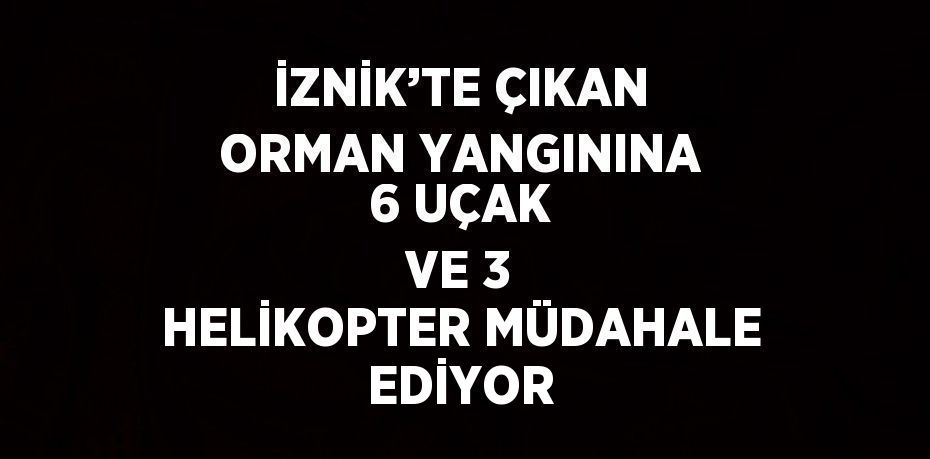 İZNİK’TE ÇIKAN ORMAN YANGININA 6 UÇAK VE 3 HELİKOPTER MÜDAHALE EDİYOR